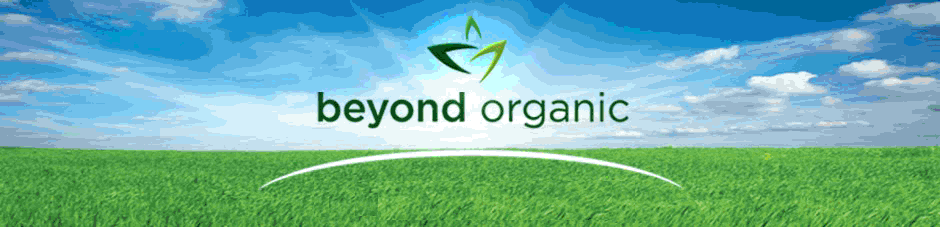 beyond organic natural foods